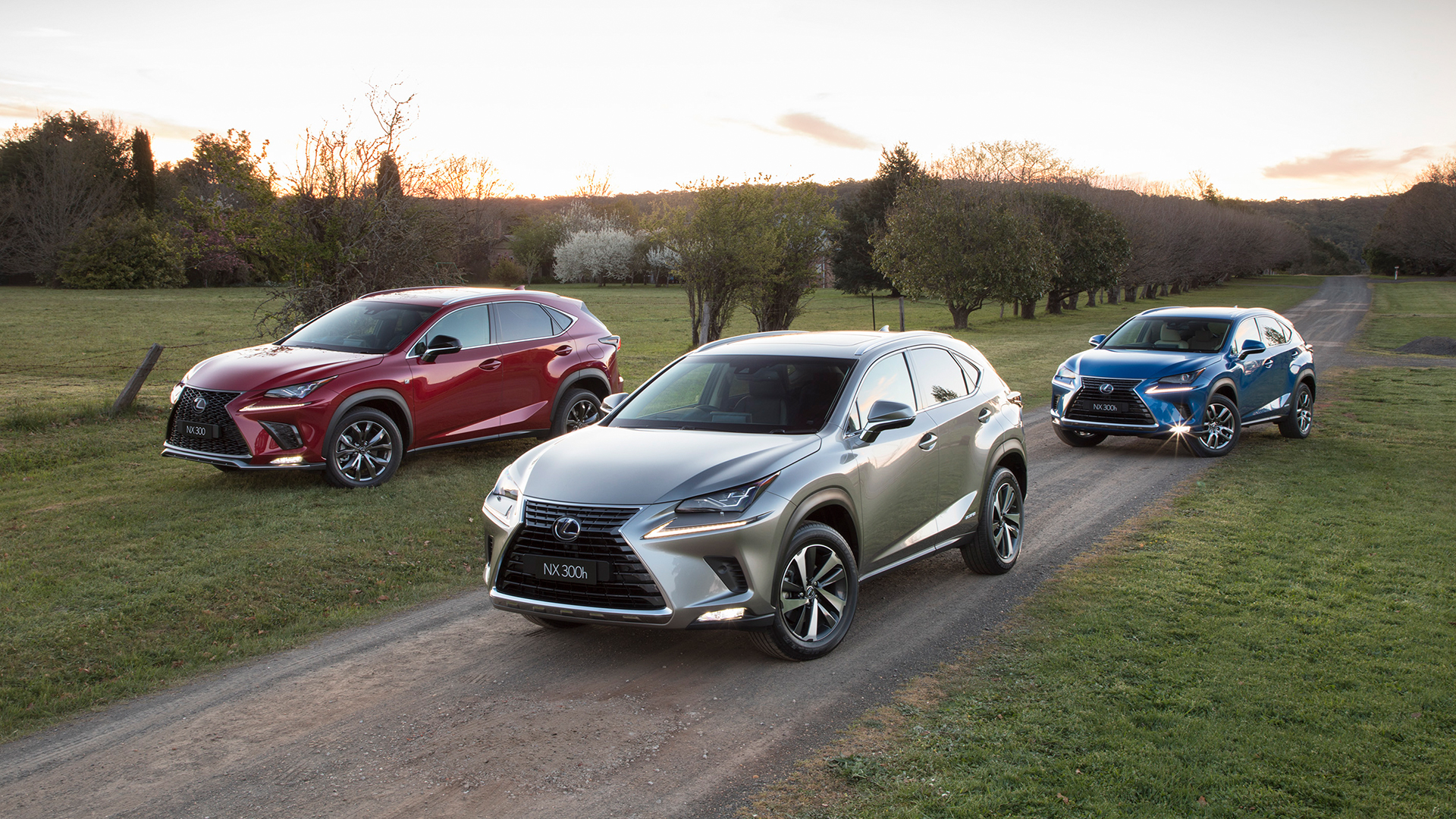 Three Lexus NX vehicles in blue, red and silver colours parked on a gravel drive during sunset