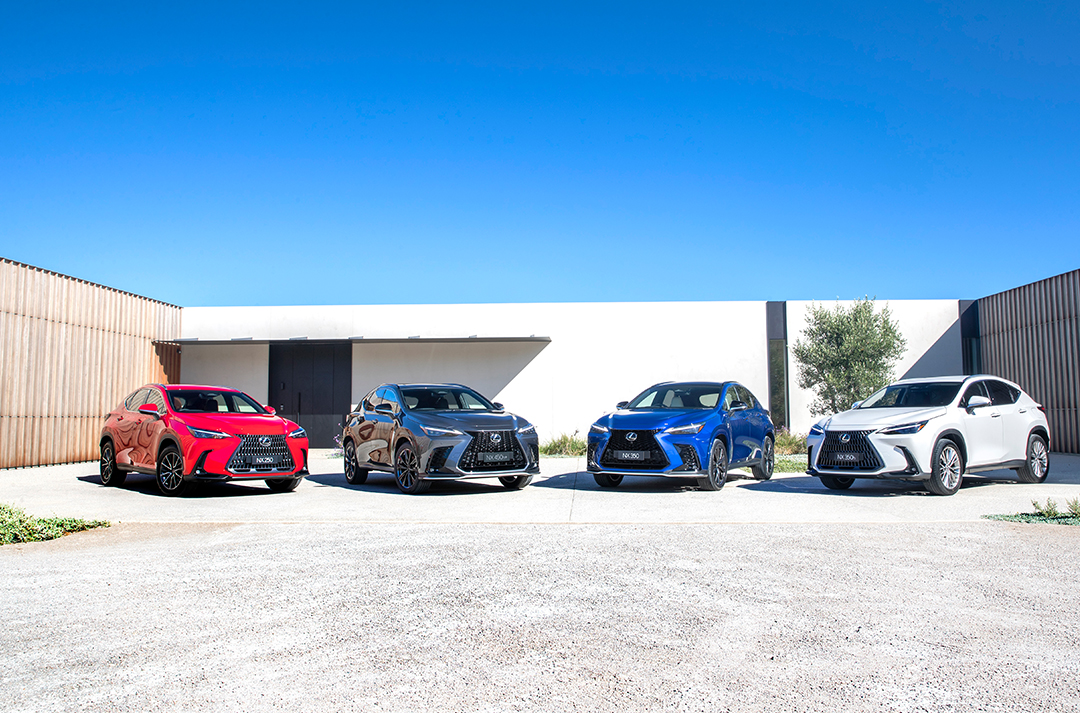 Four Lexus NX vehicles, coloured red, black, blue and white, parked on gravel drive with a blue sky above.