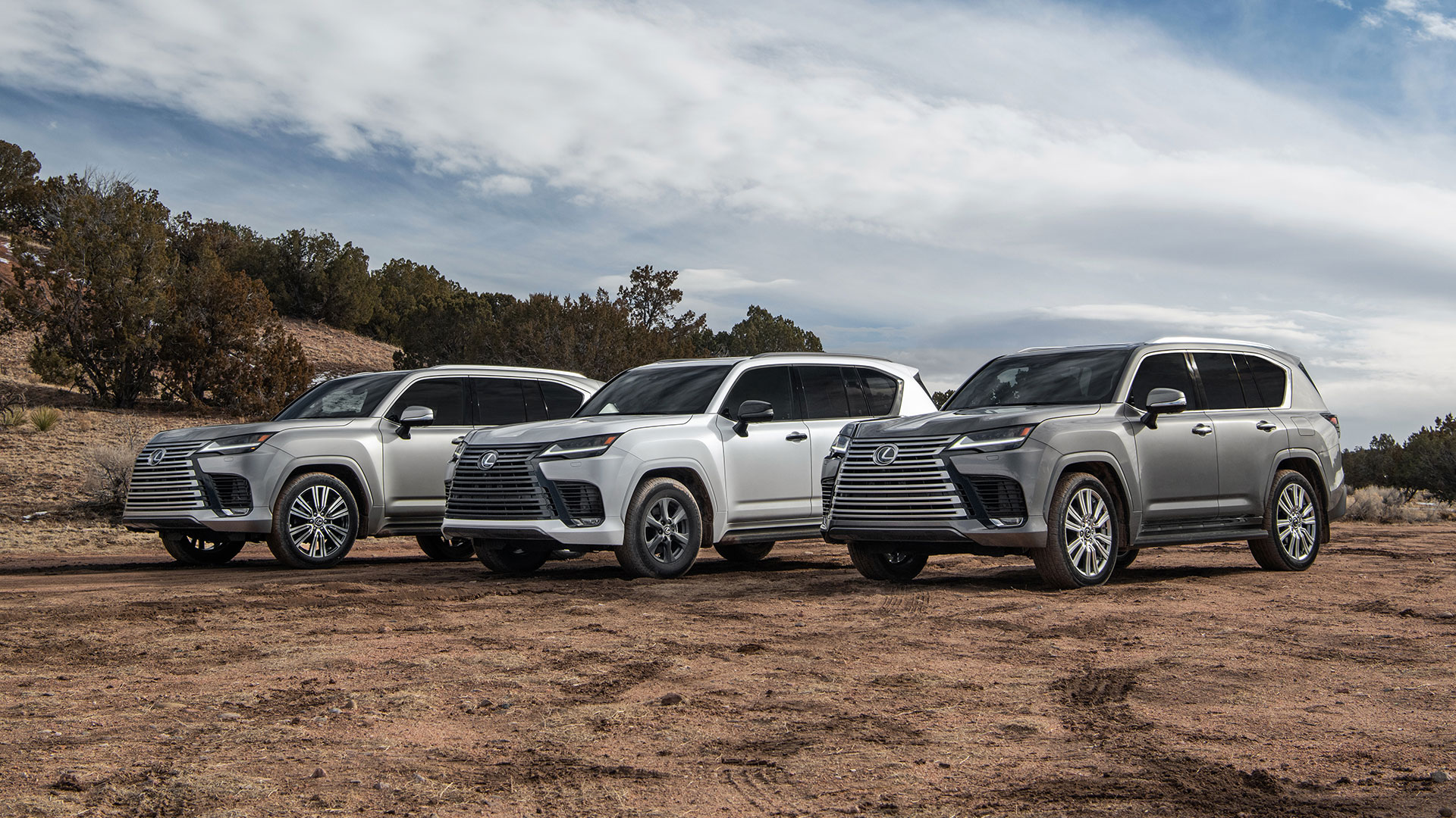 Three Lexus LX series SUVs (LX 600) and (LX 500d), silver, white, grey on a gravel road with cloudy sky above.