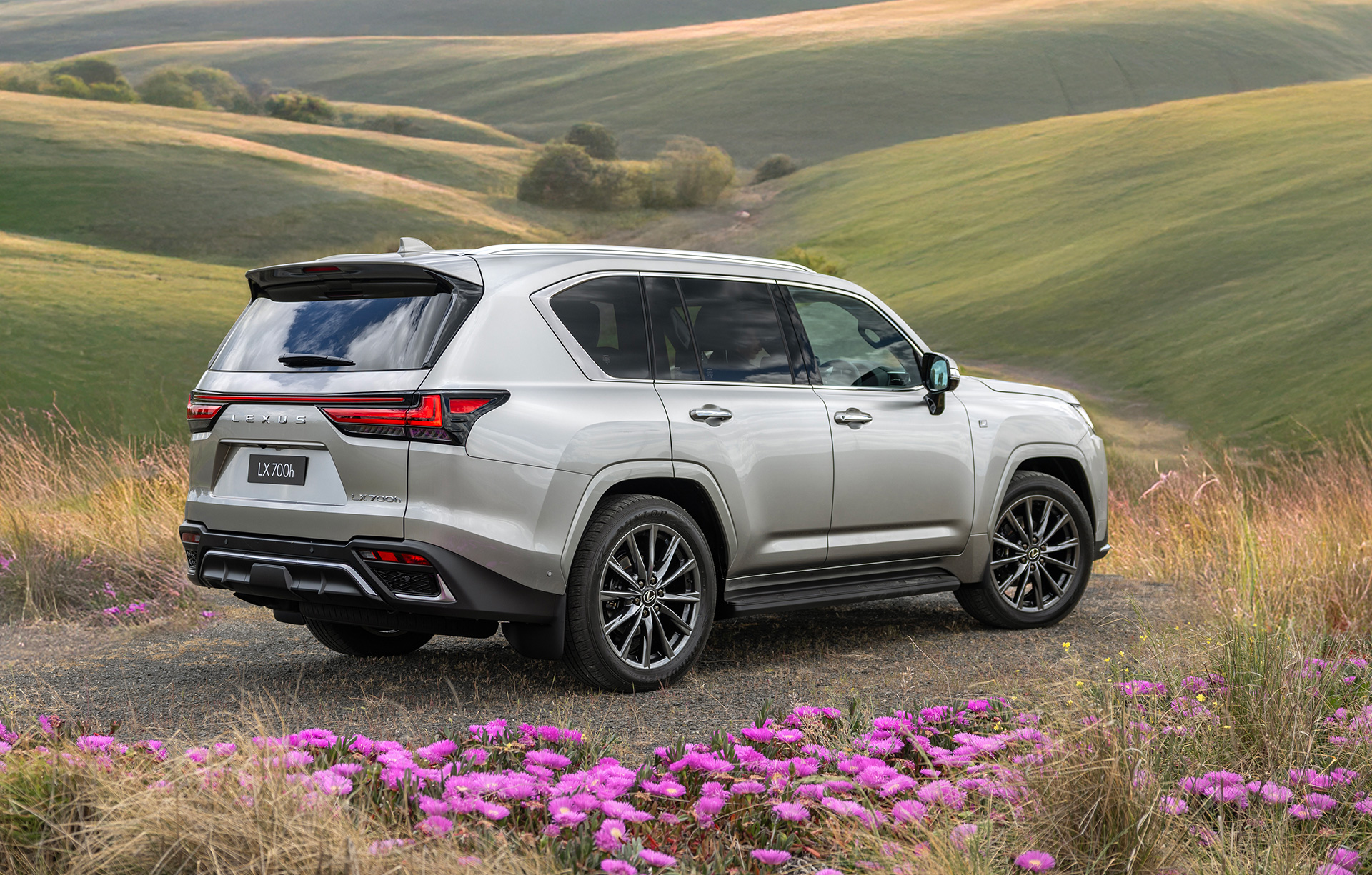 Silver Lexus LX 700h parked on a scenic hillside with rolling green landscapes and wildflowers.