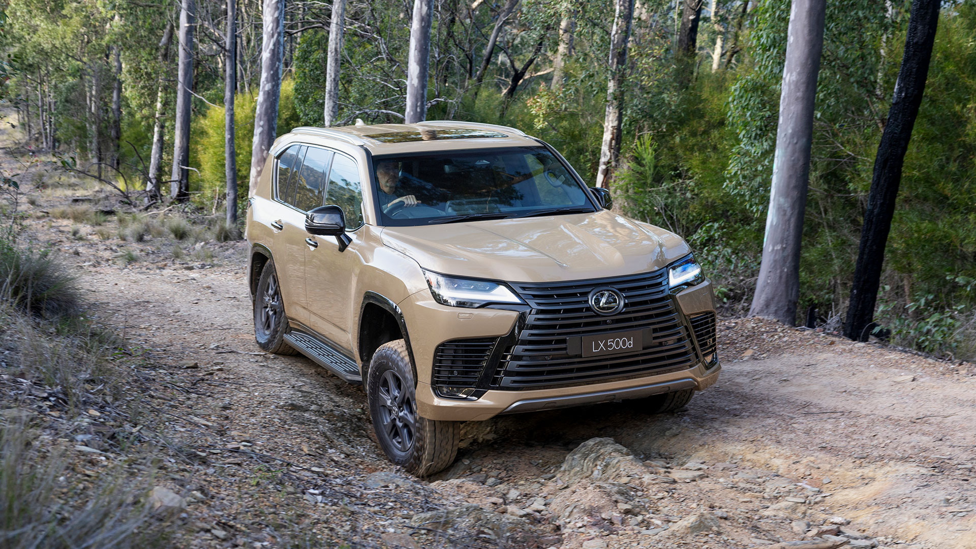 The Lexus LX 500d Overtrail in Earth tone driving along a forest track